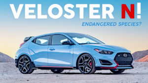 Hyundai Veloster N - Endangered Species?